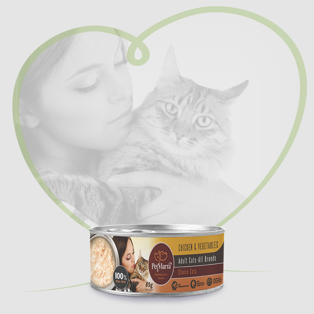 Cat Wet Food Collection PetMarra cat-wet-food-collection-petmarra