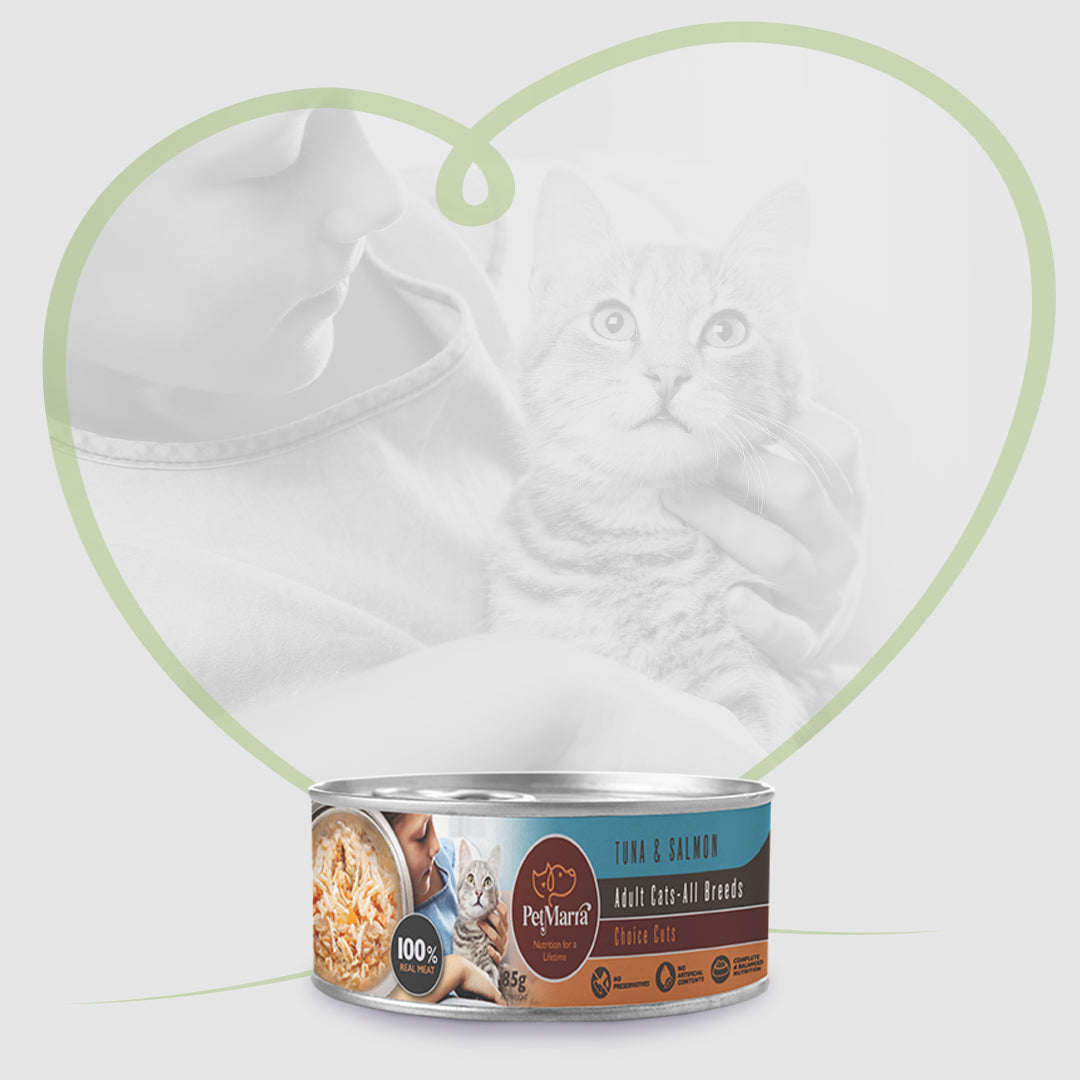 Cat Wet Food Collection PetMarra cat-wet-food-collection-petmarra
