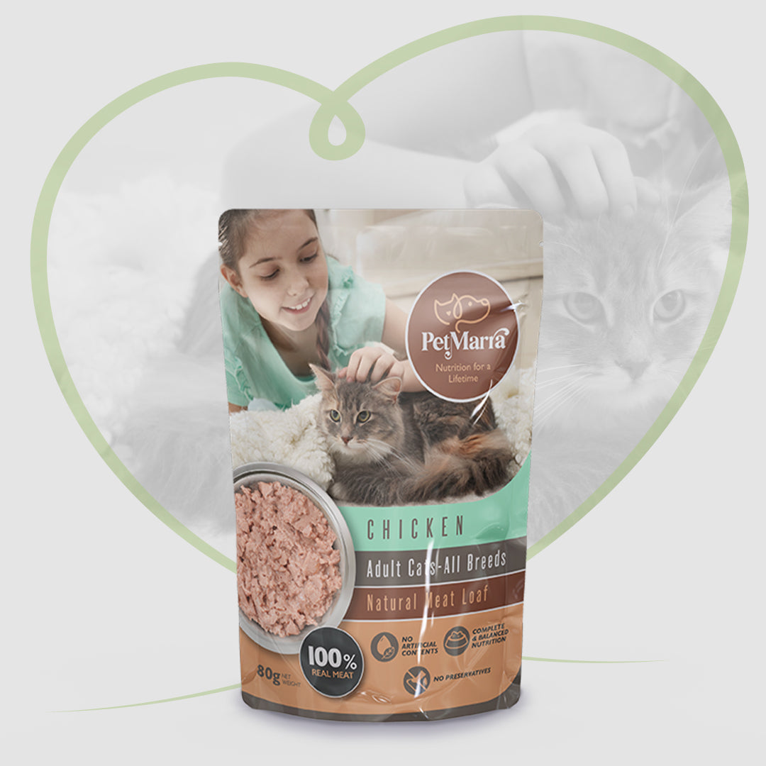 Kitty wet food clearance